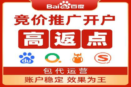 从新手到高手：百度竞价实战案例分析